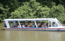 Greenway Nature Tours397