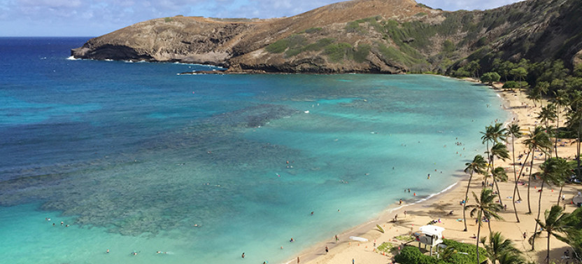 Grand Circle Island & Haleiwa Tour