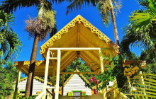 Island Paradise Tours15