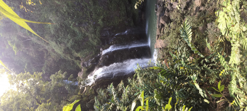 Private Luxury Epic Road to Hana Adventure