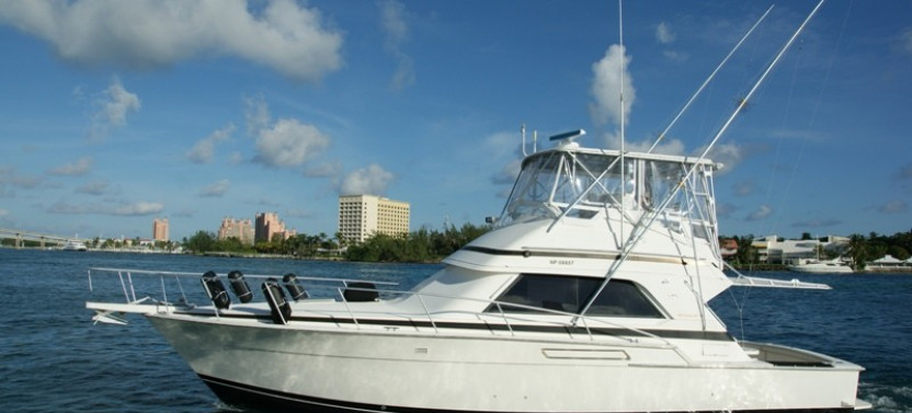 Private 4 Hour Fishing Charter - 43' Strike Again