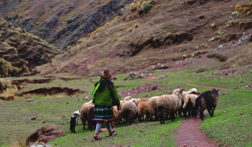 A picture of Lares Trek to Machu Picchu 4D/3N