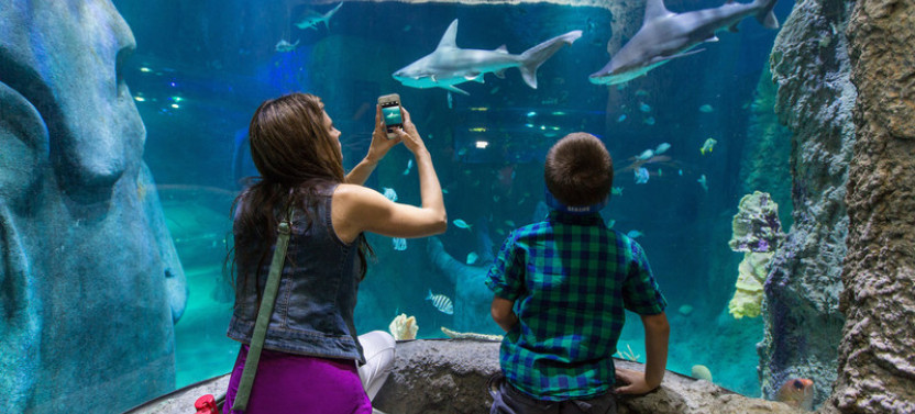 Go City | Orlando All-Inclusive Pass: Access to 30+ Attractions