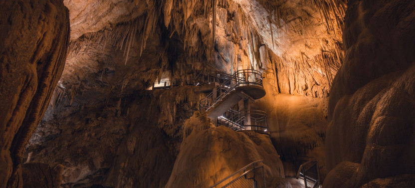 Hastings Caves, Tahune Airwalk & Huon Valley Guided Day Tour