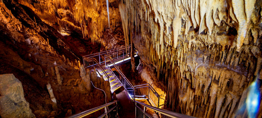 Hastings Caves, Tahune Airwalk & Huon Valley Guided Day Tour