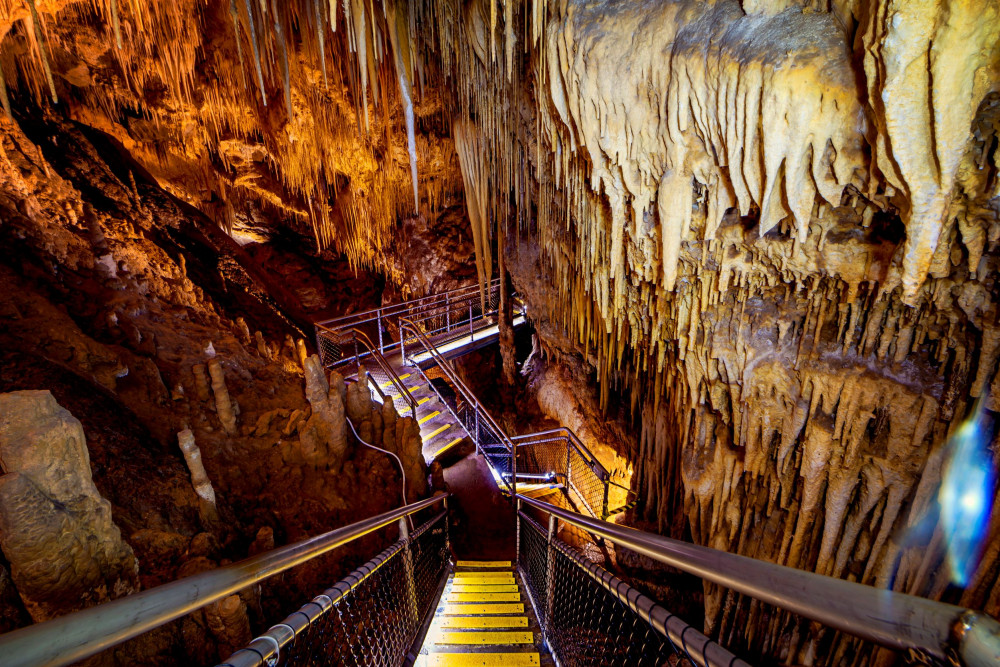 Hastings Caves, Tahune Airwalk & Huon Valley Guided Day Tour