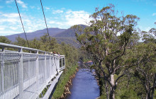 Tours Around Tasmania Pty Ltd5