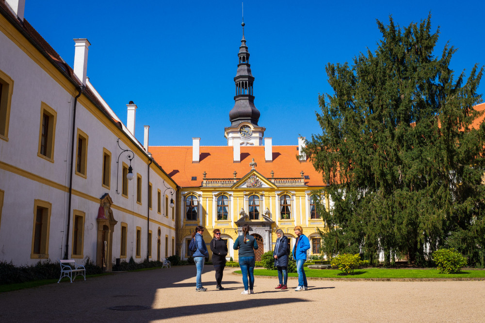 Active Point Decin