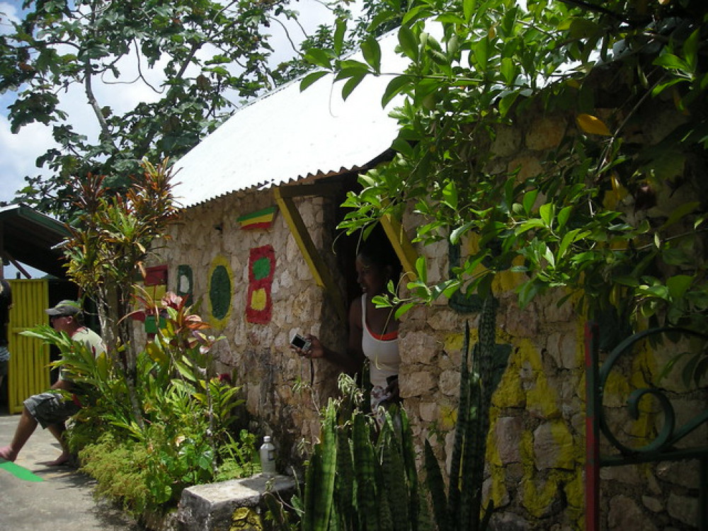 Private Bob Marley Birth Place And Dunn's River Falls