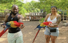 Jamaica Mesmerizing Tours5