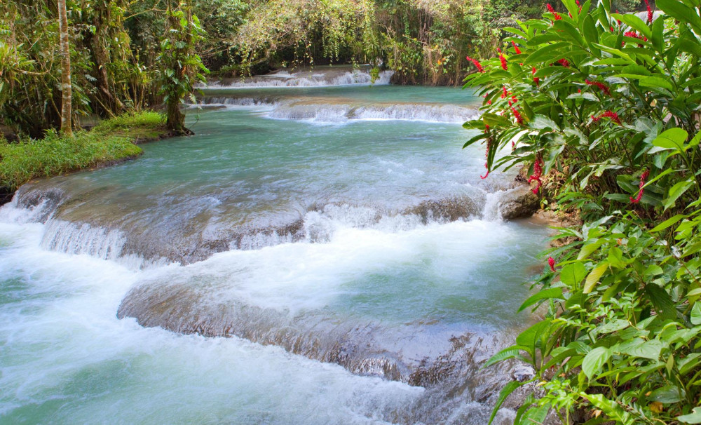 Private Dunn's River Falls Visit