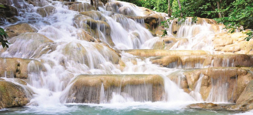 Private Dunn's River Falls Visit