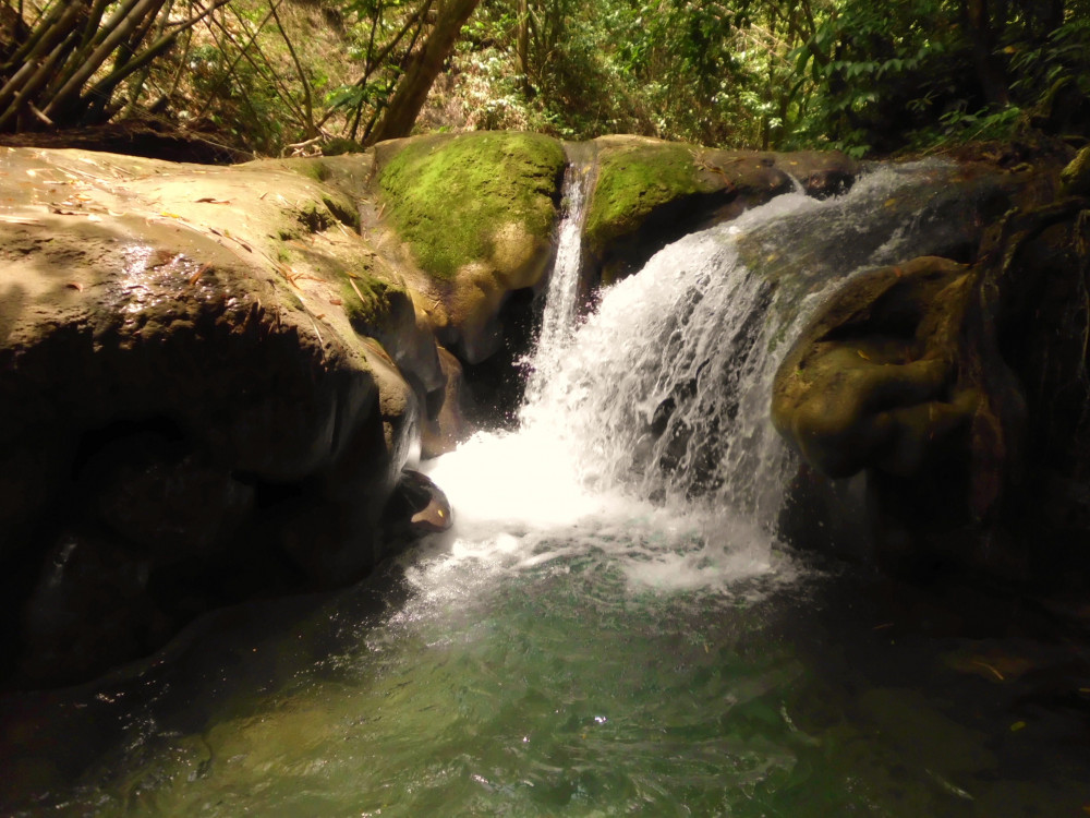 Jamaica Mesmerizing Tours