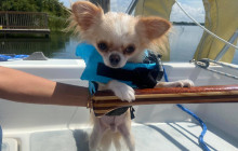 Sailing Orlando18