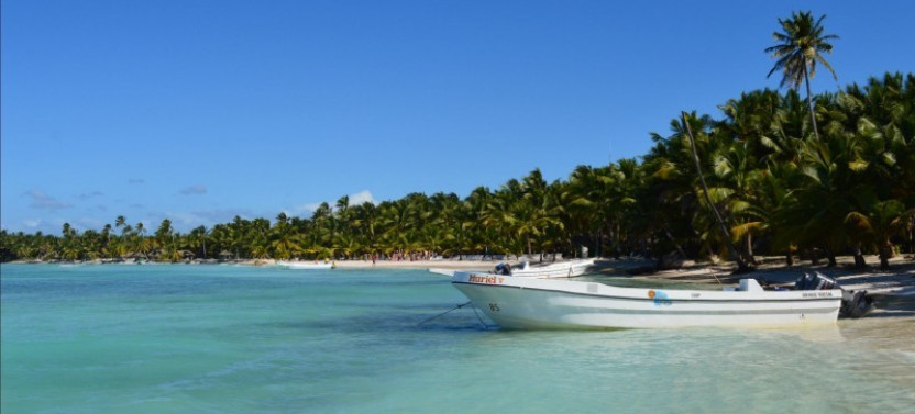 Saona Island Day Tour from Bayahibe