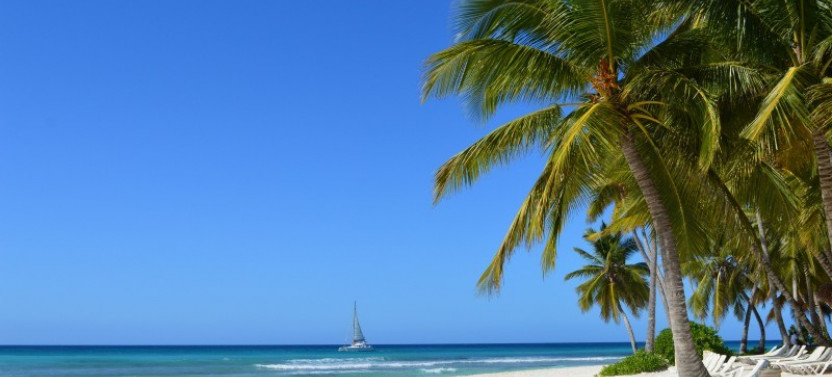 Saona Island Day Tour from Bayahibe
