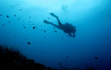 Padi Advanced Open Water Diver Course