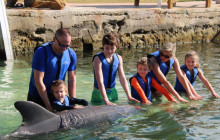 Dolphins Plus Marine Mammal Responder1