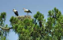 Lands - Eco Boat Tours5