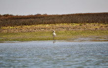 Lands - Eco Boat Tours8