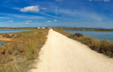 Lands - Eco Boat Tours8