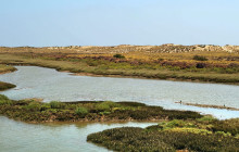 Lands - Eco Boat Tours11