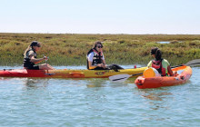 Lands - Eco Boat Tours1