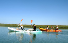 Lands - Eco Boat Tours7