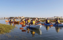 Lands - Eco Boat Tours9