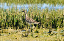 Lands - Eco Boat Tours17