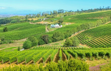 Mile by Mile Tours17