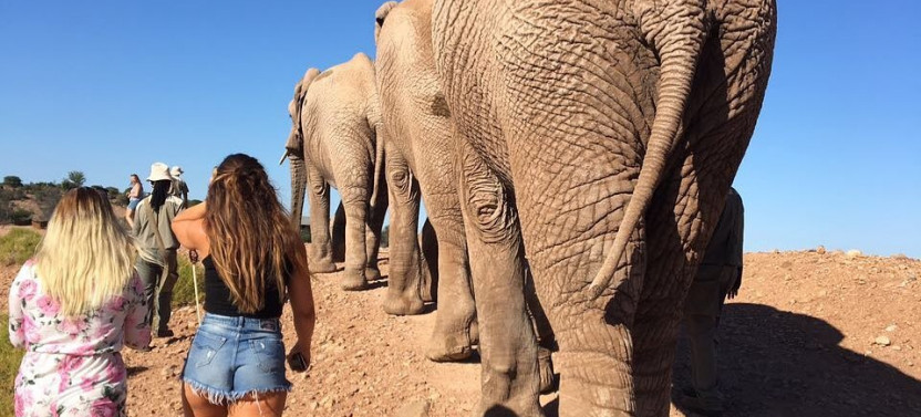2 Day South African Wildlife Safari