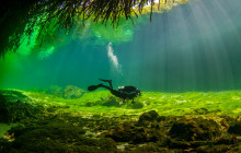2 Dive In 2 Different Cenotes