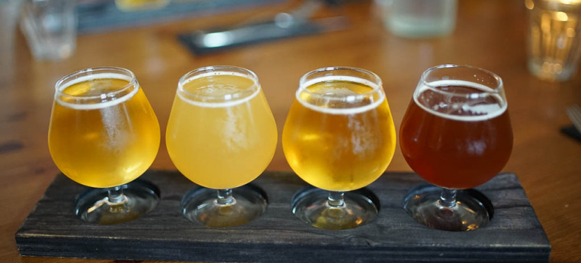 The Reykjavik Beer & Booze Tour