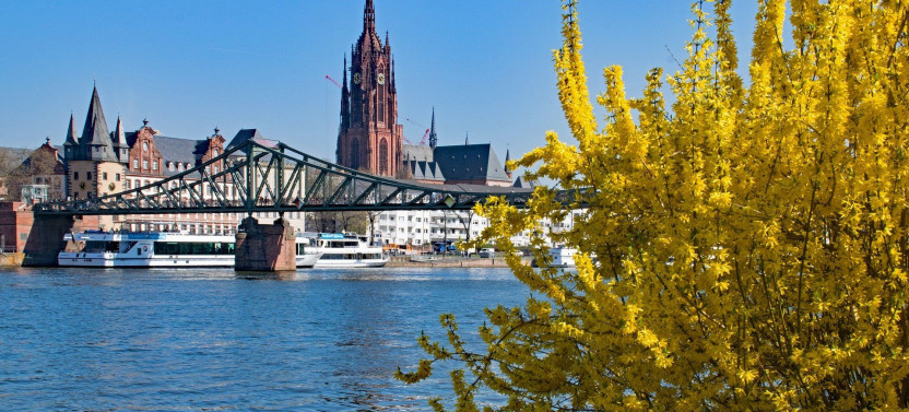 Frankfurt Private Walking Tour