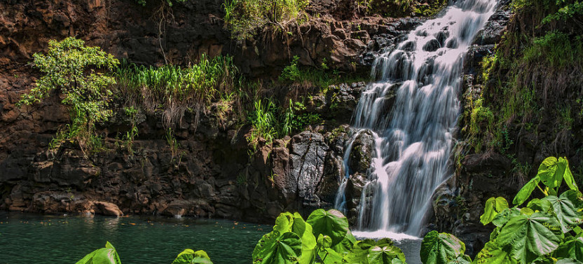 Hidden Gems of Oahu with Waimea Waterfall/Botanical Garden