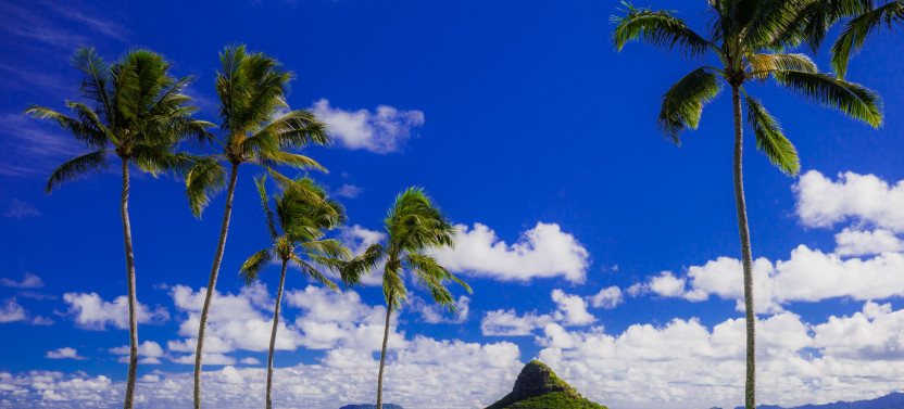 Hidden Gems of Oahu with Waimea Waterfall/Botanical Garden