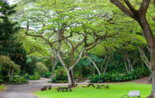Hidden Gems of Oahu with Waimea Waterfall/Botanical Garden