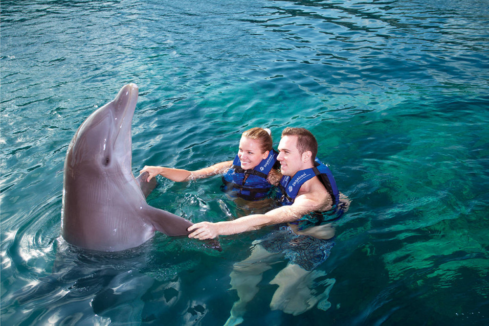 Playa Mujeres Delphinus - Family Dreams