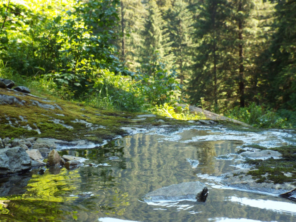 Tongass Rainforest Hiking Expedition