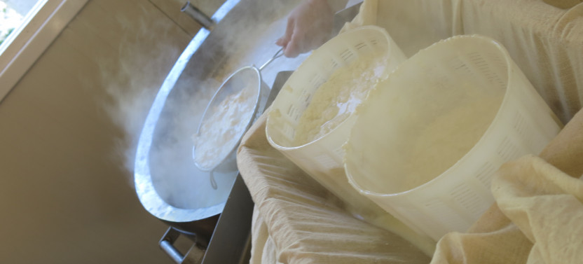 Halloumi Heaven – Cypriot Cheese Making Workshop & Village Tour