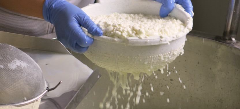 Halloumi Heaven – Cypriot Cheese Making Workshop & Village Tour