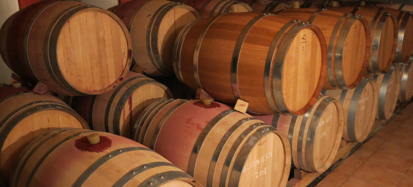 Vino Venture – Mountain Villages & Wineries