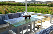 Mykonos Vioma Organic Farm4