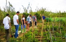 Mykonos Vioma Organic Farm9