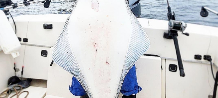 Elite Ketchikan Alaska Private Full Day Fishing Excursion