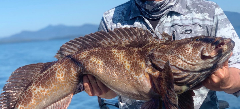 Elite Ketchikan Alaska Private Full Day Fishing Excursion