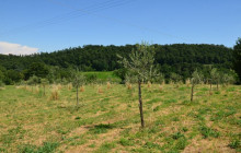 Slow Travel Italia4