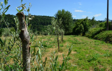 Slow Travel Italia5