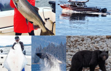 Reel Alaska Fishing Charters4